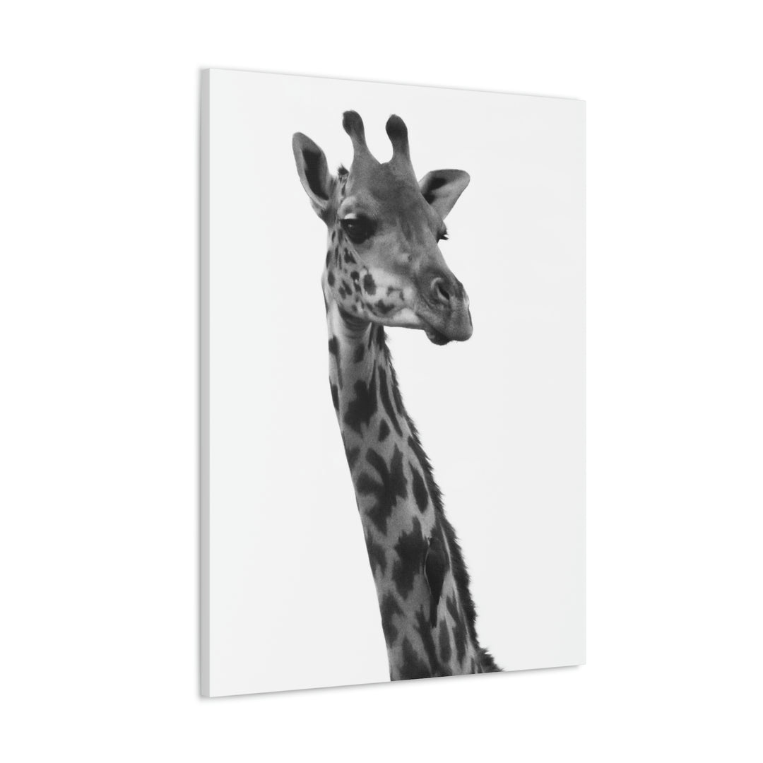 Giraffe Portrait in Black and White  - Canvas