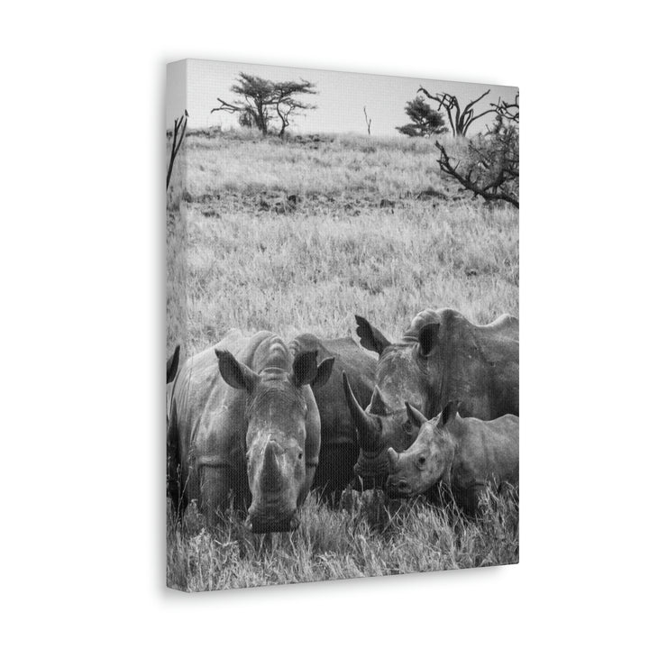 Rhino Family in Black and White - Canvas