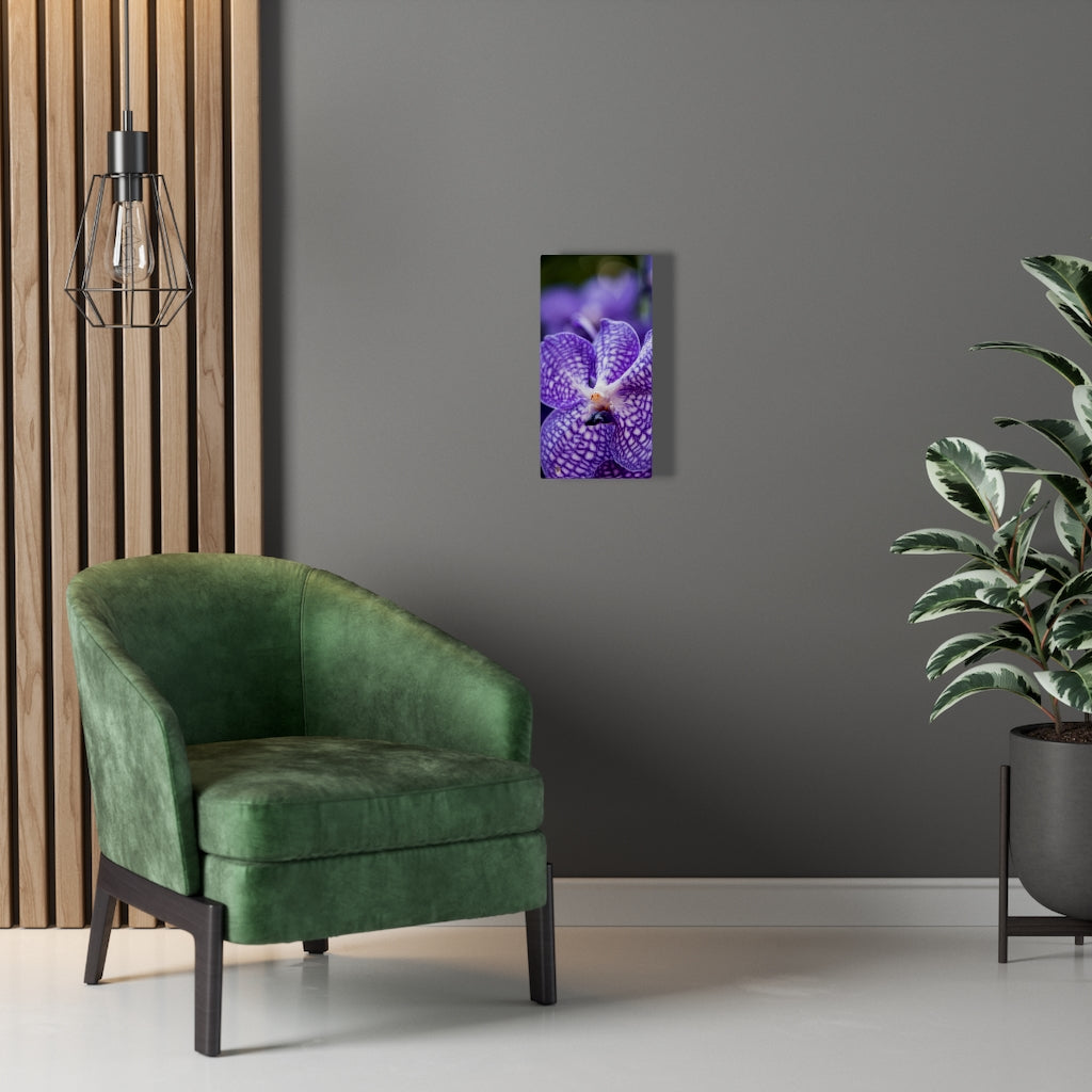 Orchid Detail - Canvas