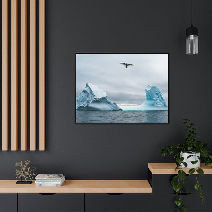 Antarctic Flight - Canvas with Frame