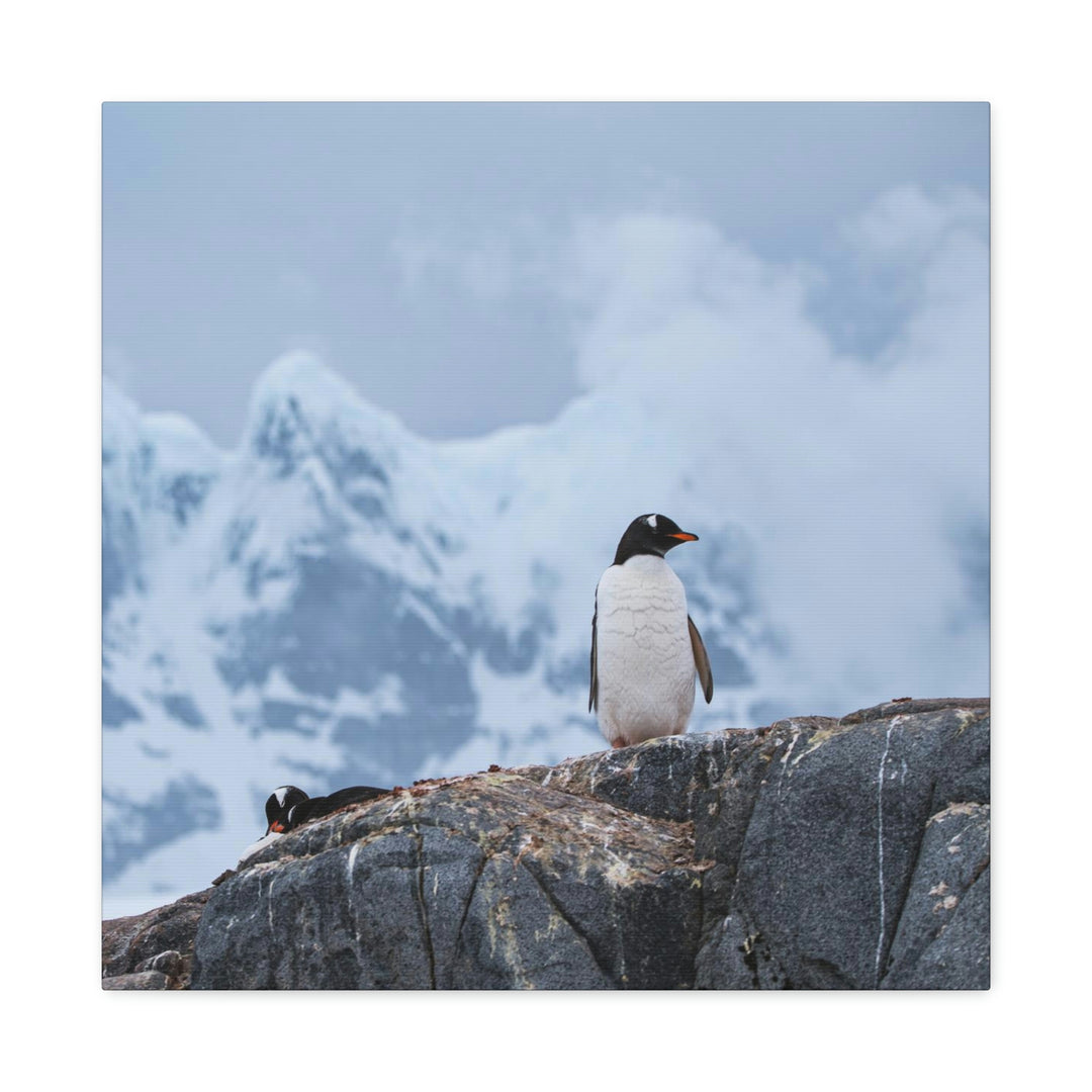 Poised Penguin - Canvas