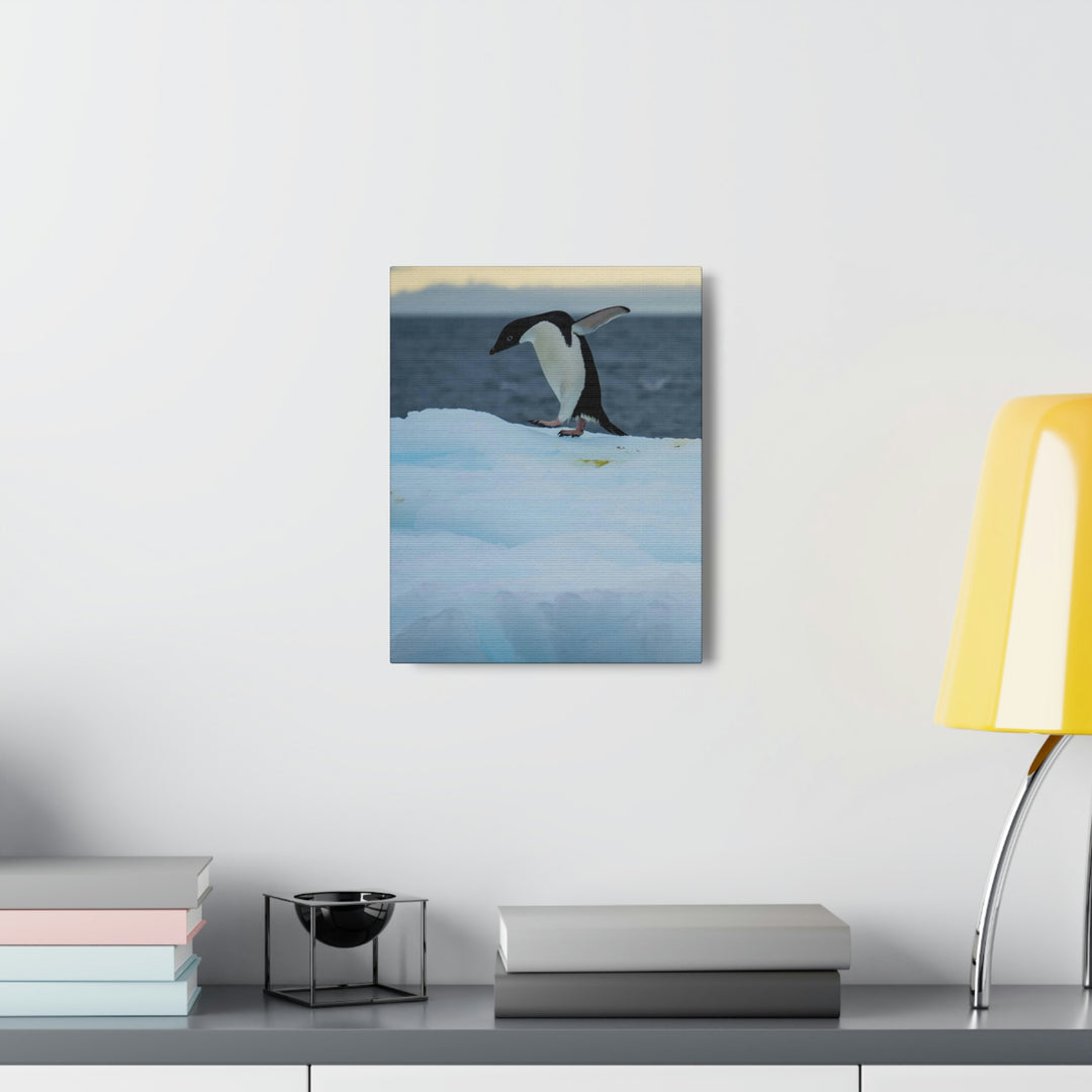 Penguin Dance - Canvas