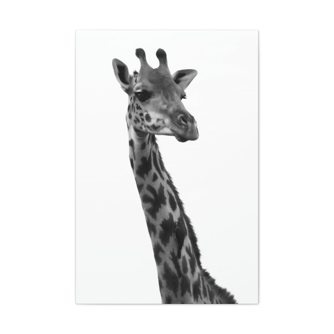 Giraffe Portrait in Black and White  - Canvas