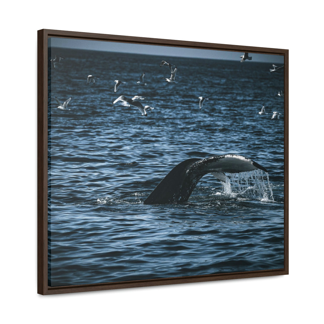 Feeding Tail - Canvas with Frame