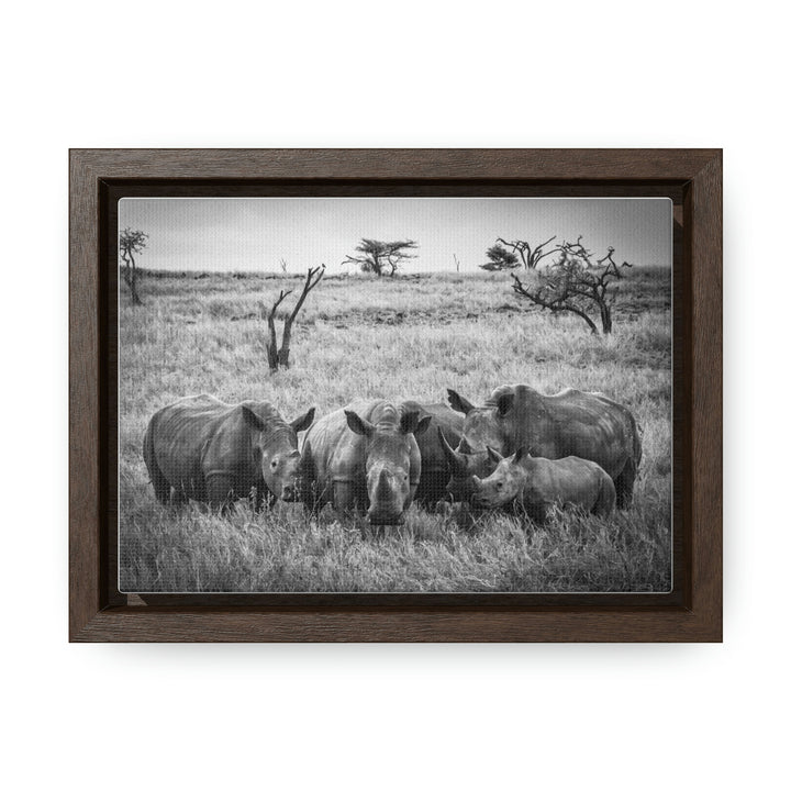 Rhino Family in Black and White - Canvas with Frame