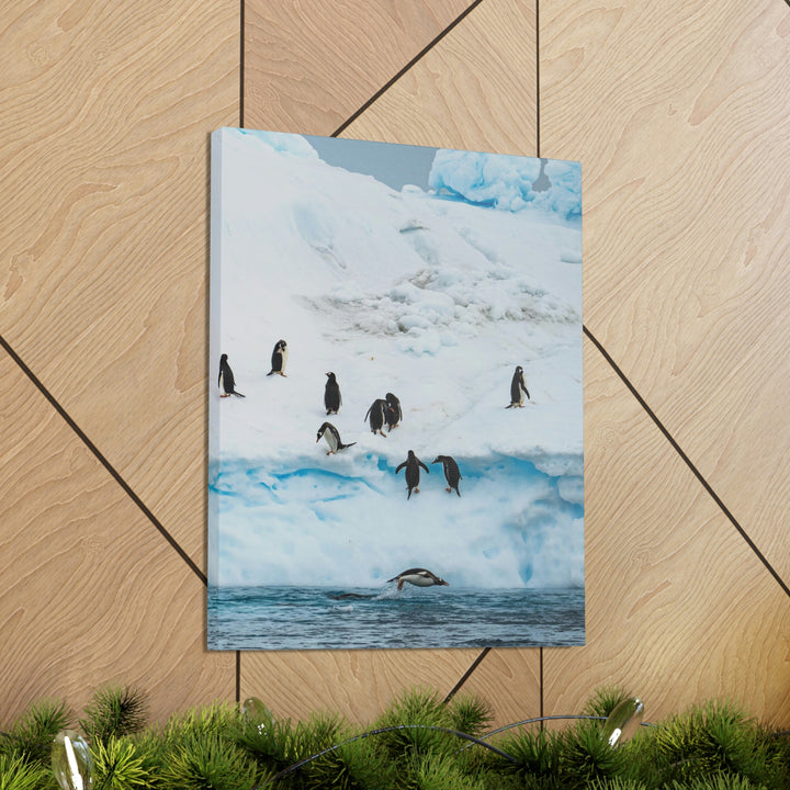 Porpoising Penguin - Canvas