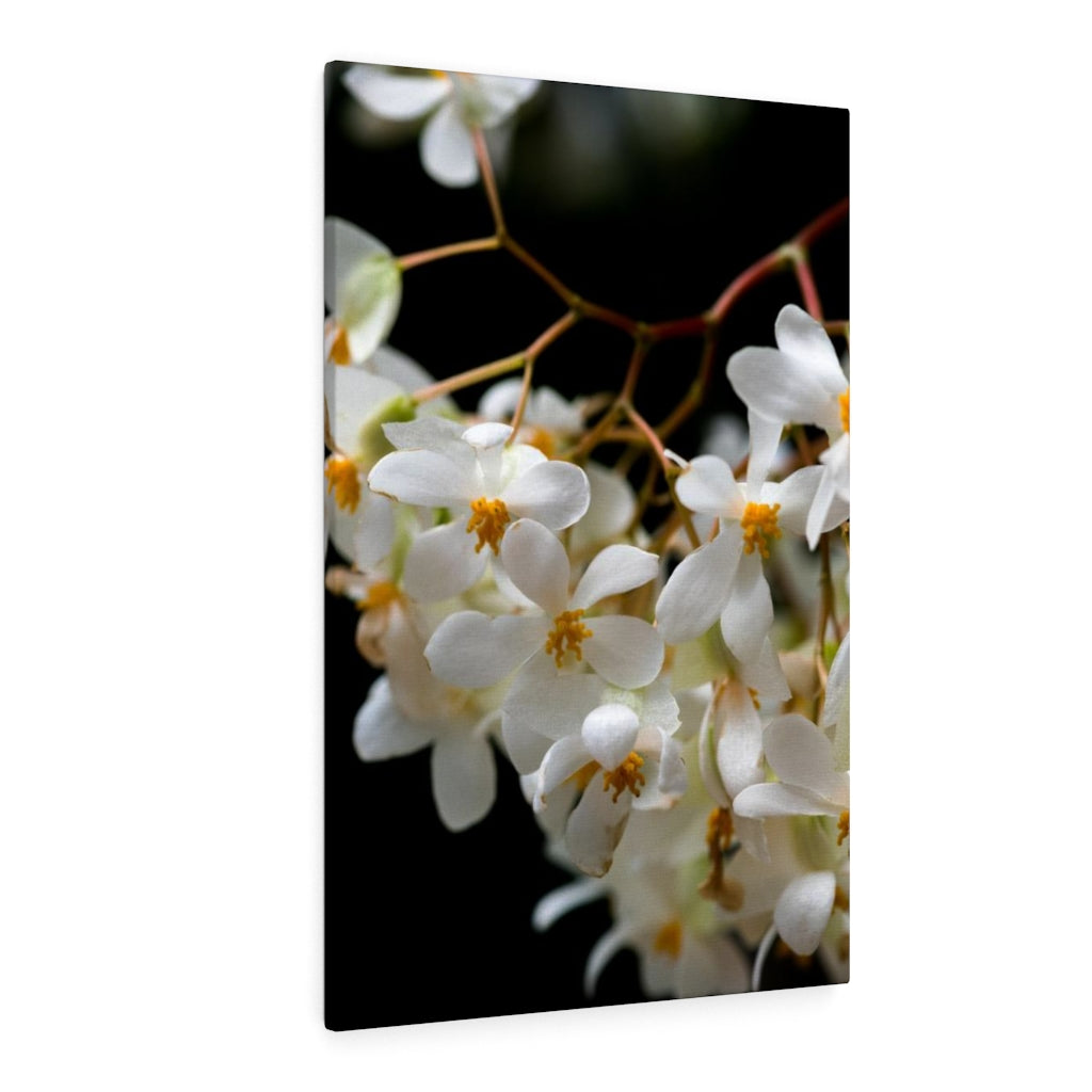 Floral Network - Canvas