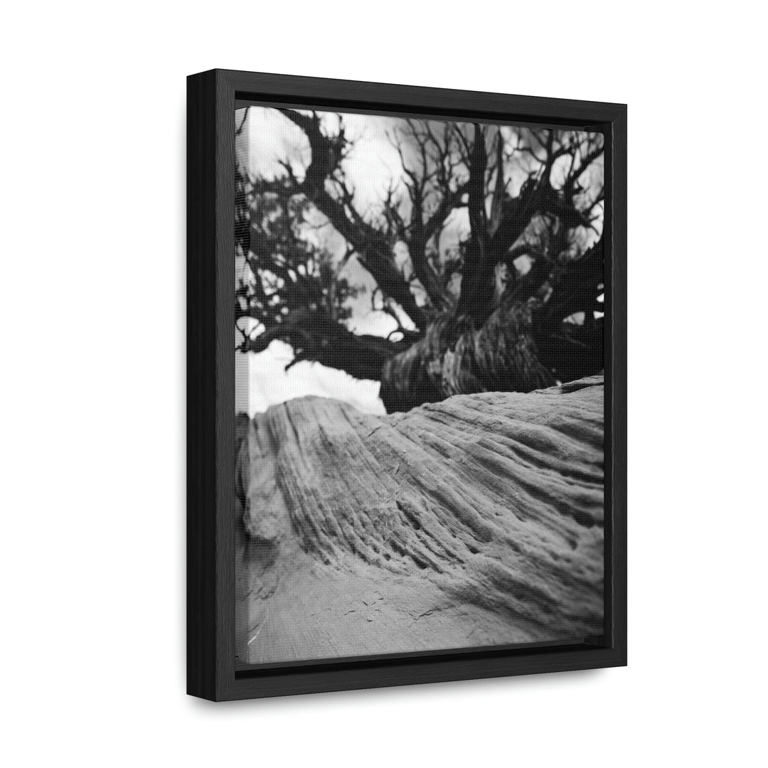 Desert Reach in Black and White - Canvas with Frame