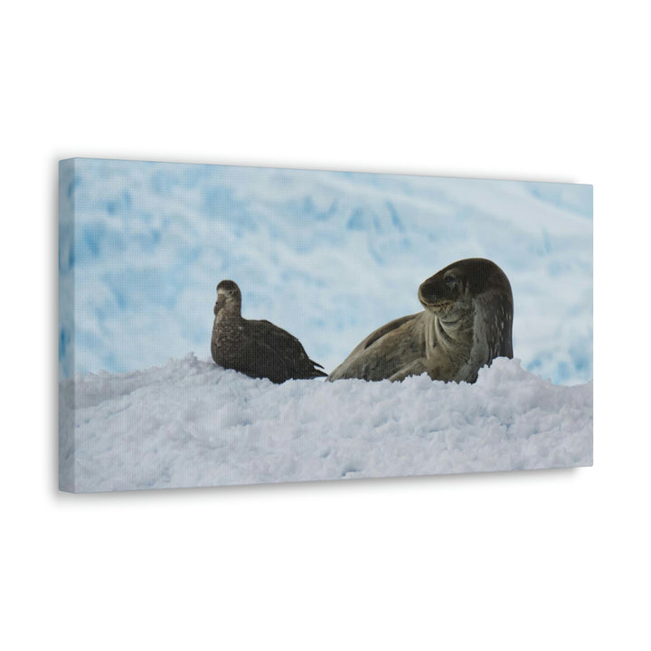 A Resting Pair - Canvas