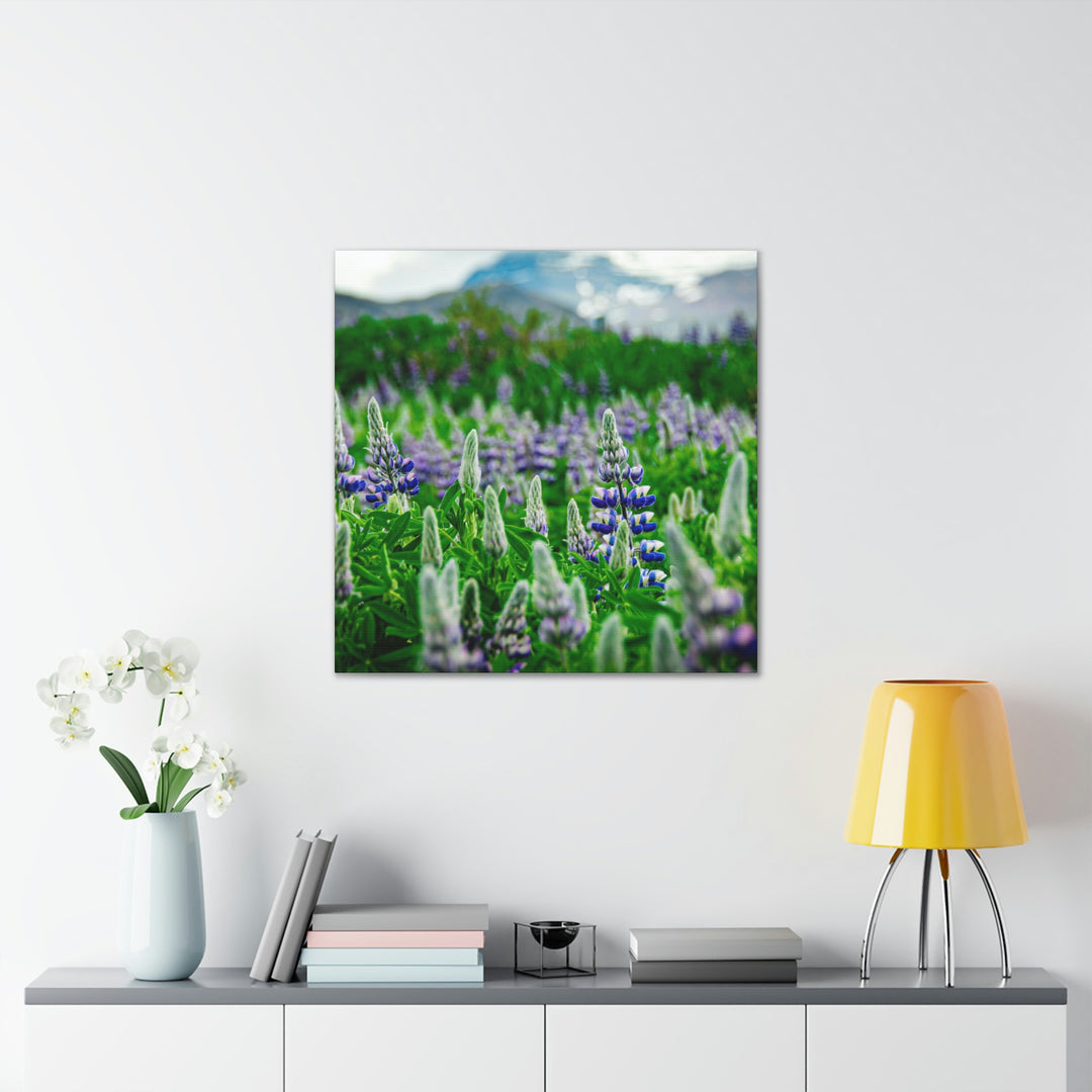 Glowing Lupin with Mountains - Canvas