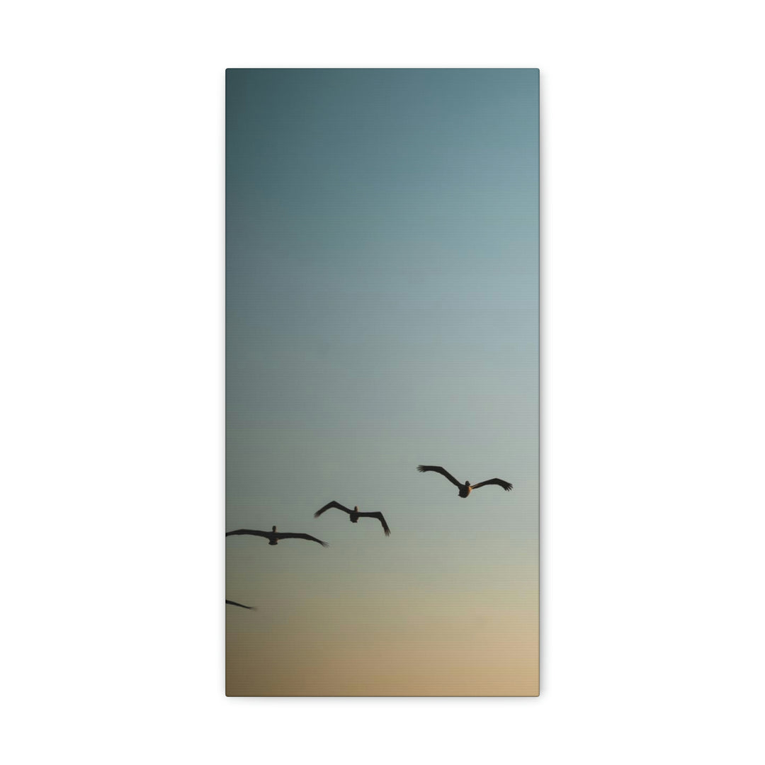 Brown Pelicans in Flight - Canvas