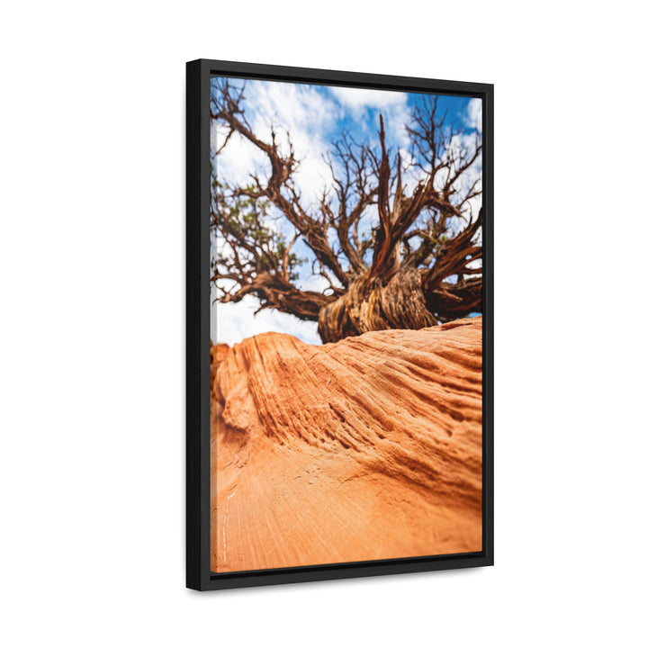 Desert Reach - Canvas with Frame