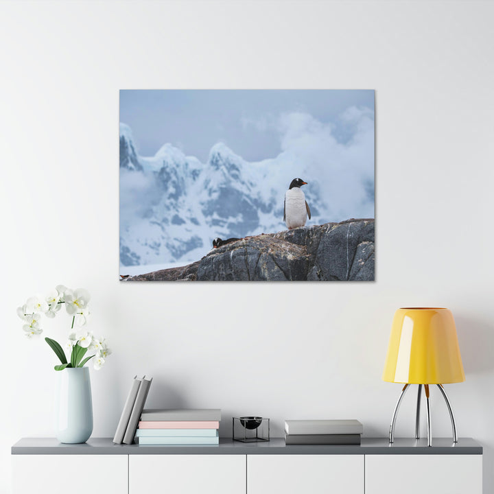 Poised Penguin - Canvas