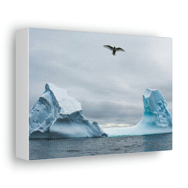 Antarctic Flight - Canvas