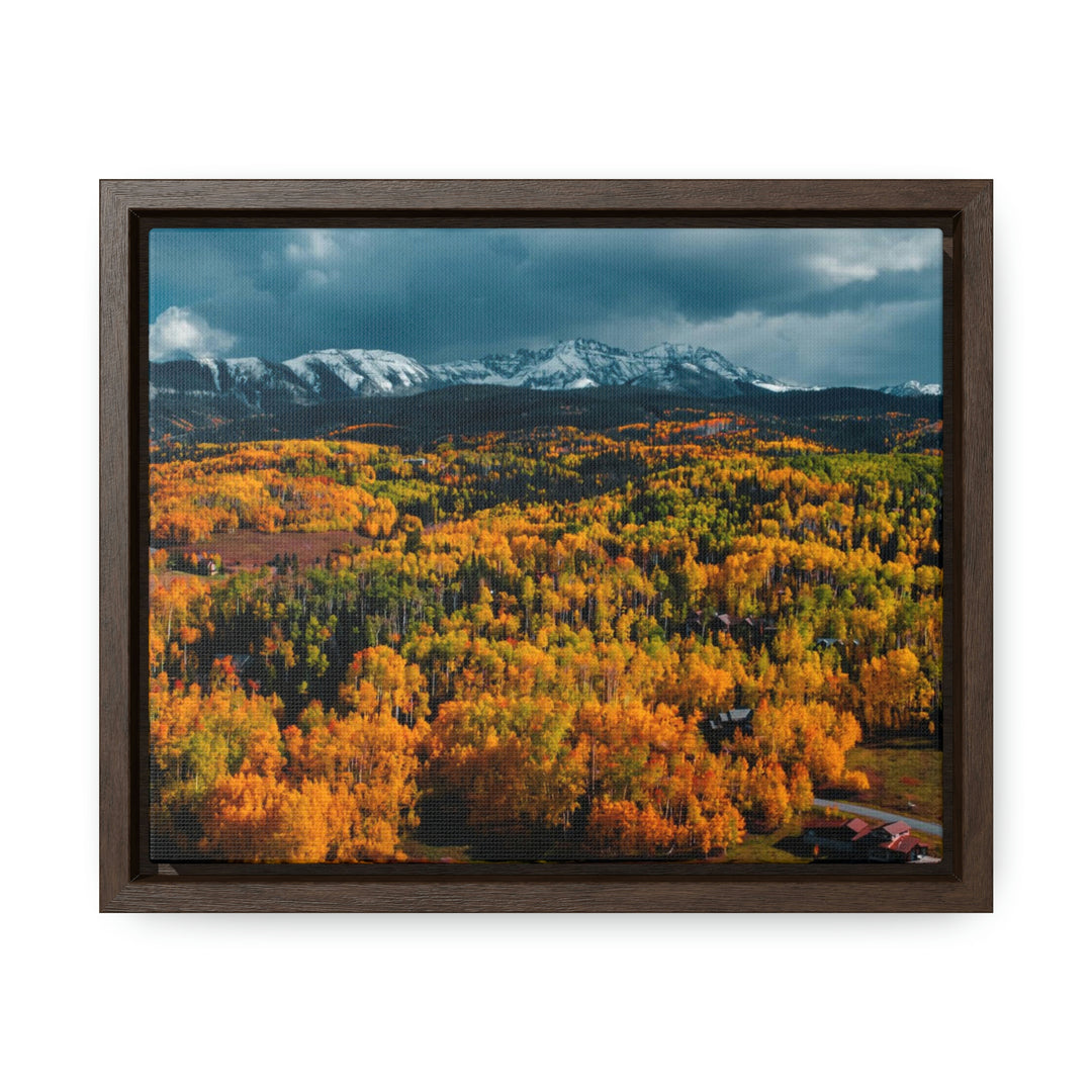 Golds of Autumn - Canvas with Frame