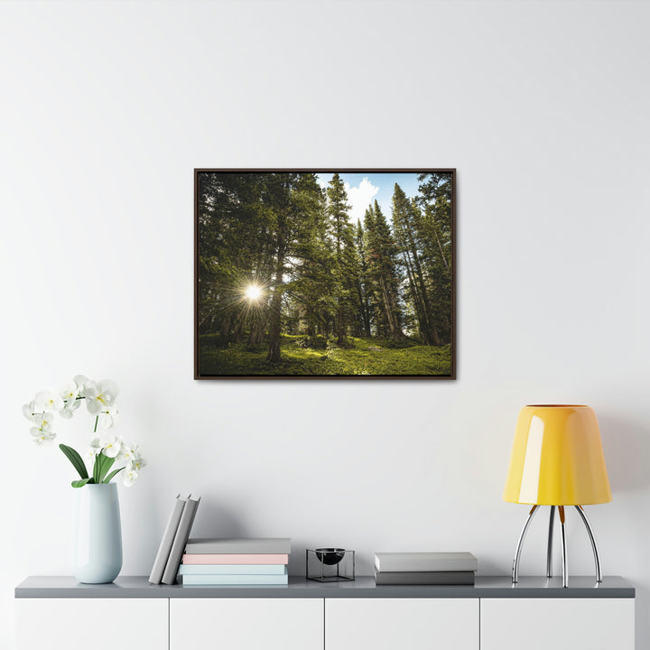 Forest Light - Canvas with Frame