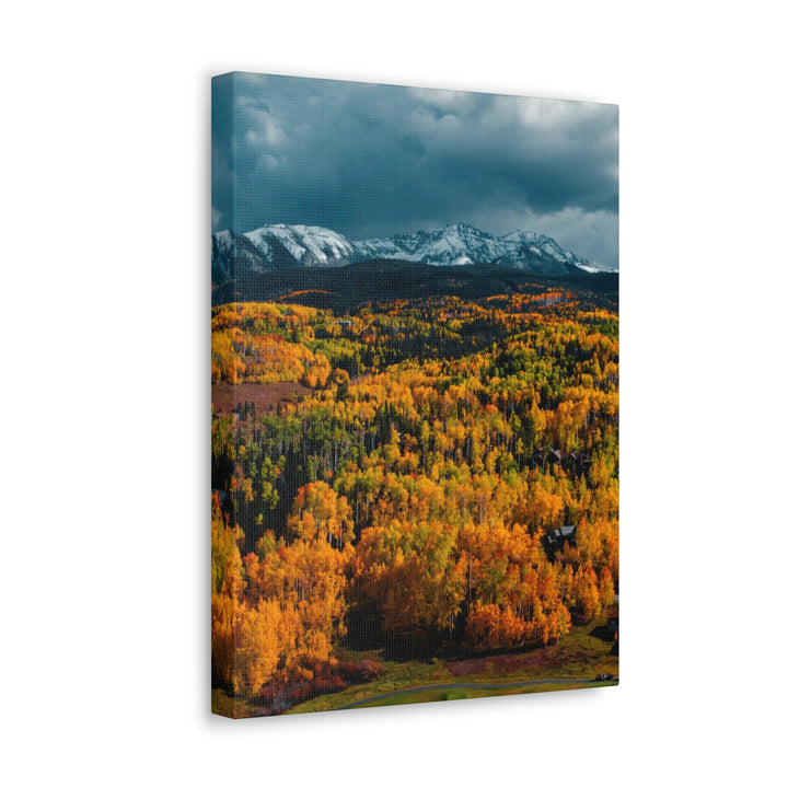 Golds of Autumn - Canvas