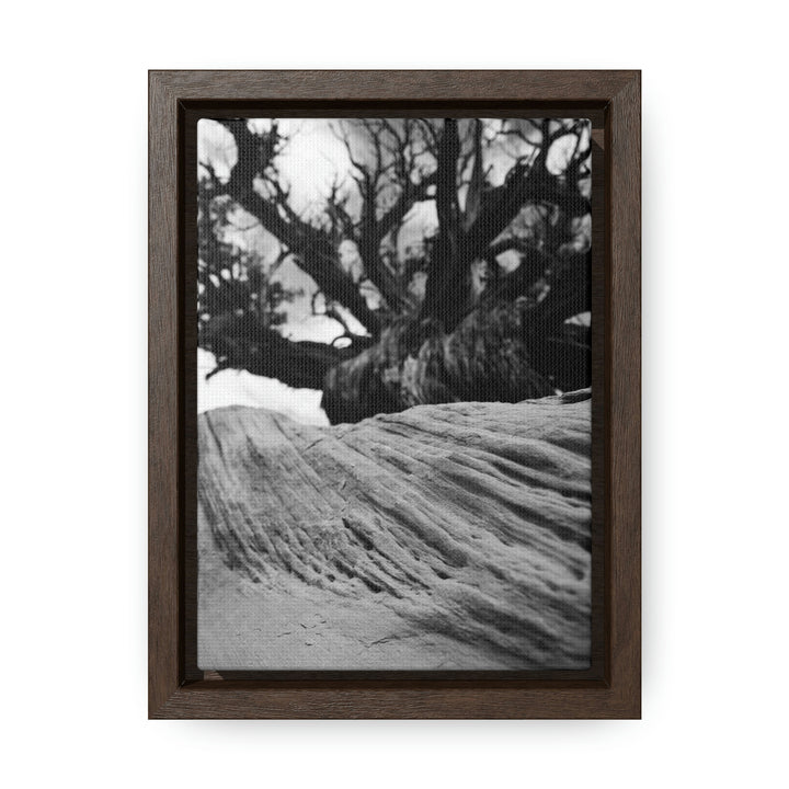 Desert Reach in Black and White - Canvas with Frame