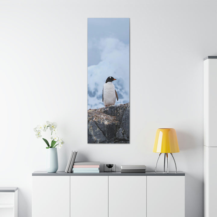 Poised Penguin - Canvas