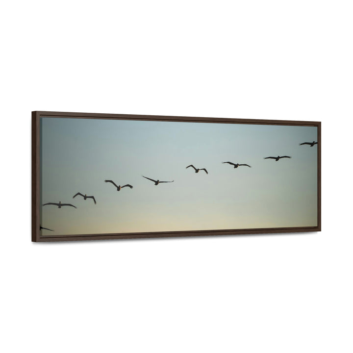 Brown Pelicans in Flight - Canvas with Frame