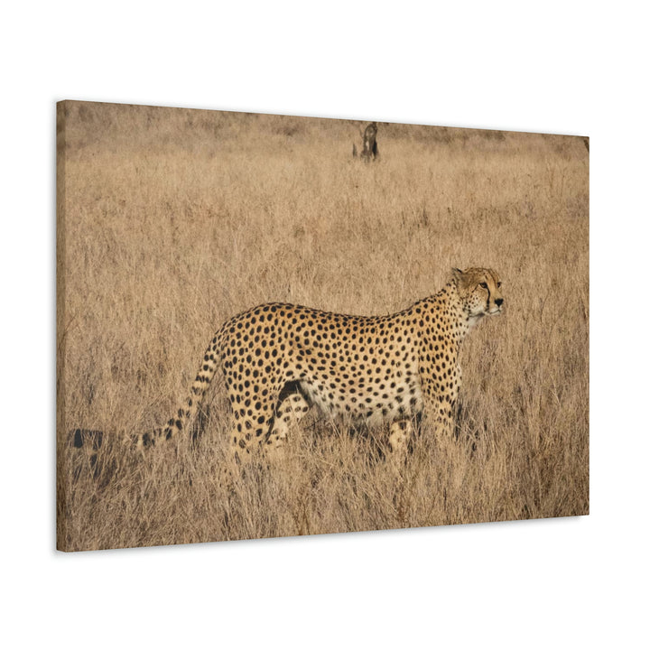 Regal Camouflage - Canvas