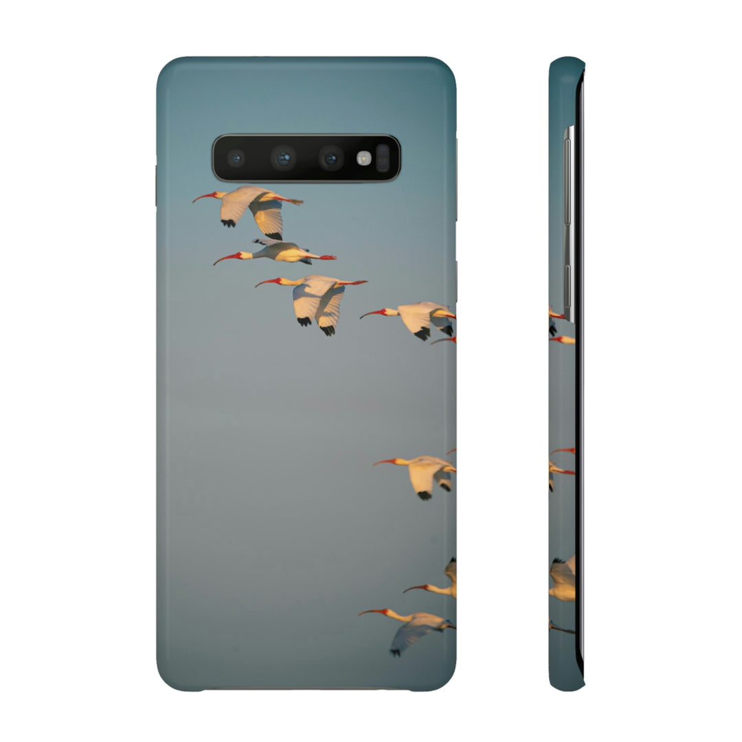 White Ibis in Flight - Phone Case