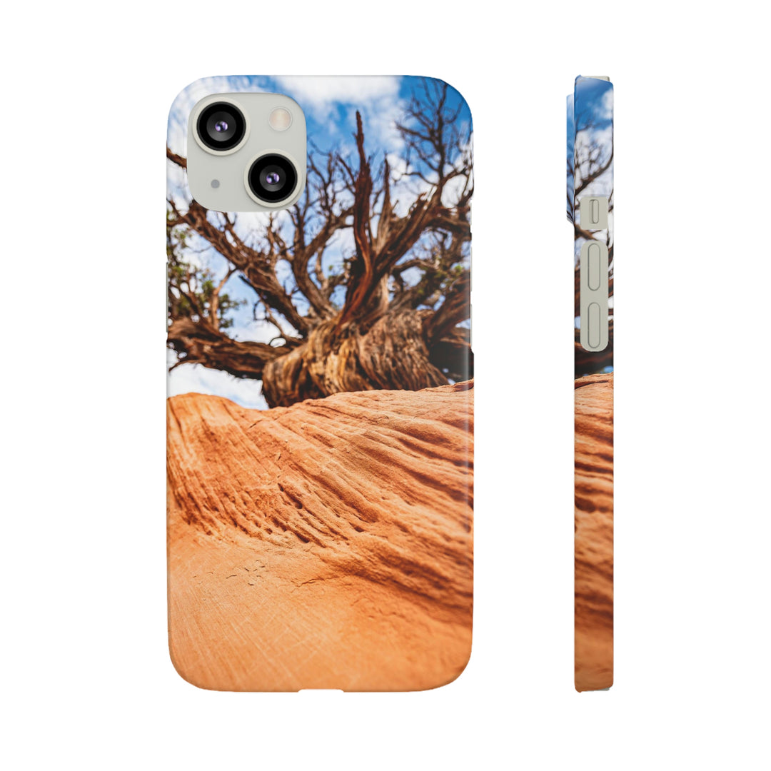 Desert Reach - Phone Case