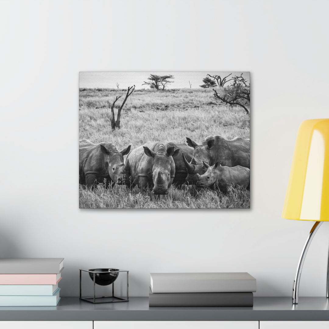 Rhino Family in Black and White - Canvas