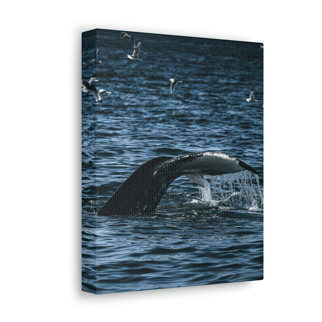 Feeding Tail - Canvas