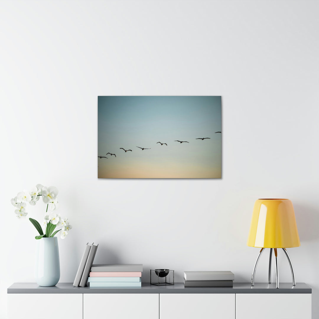 Brown Pelicans in Flight - Canvas