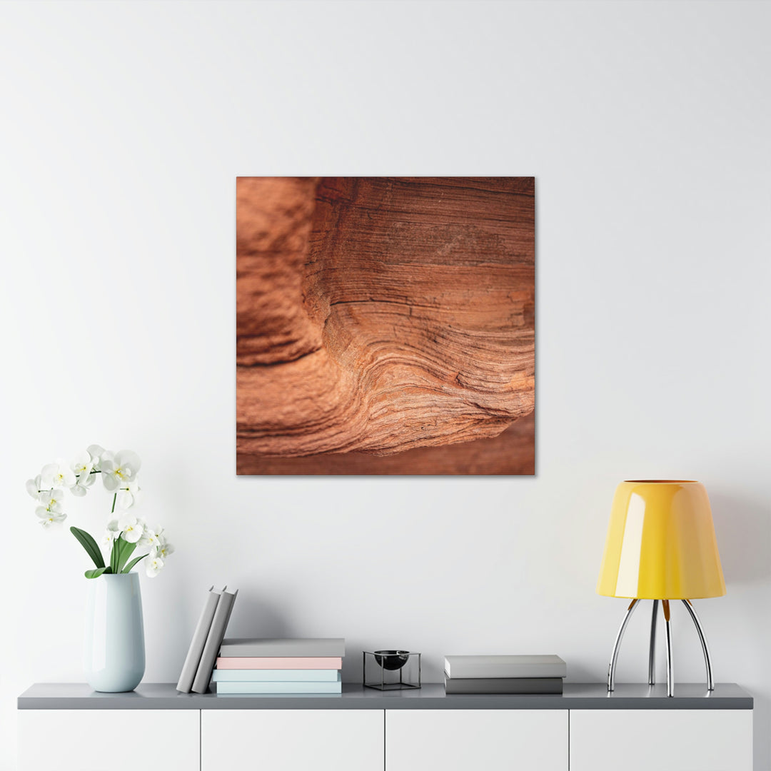 Sedimentary Rock Curves - Canvas