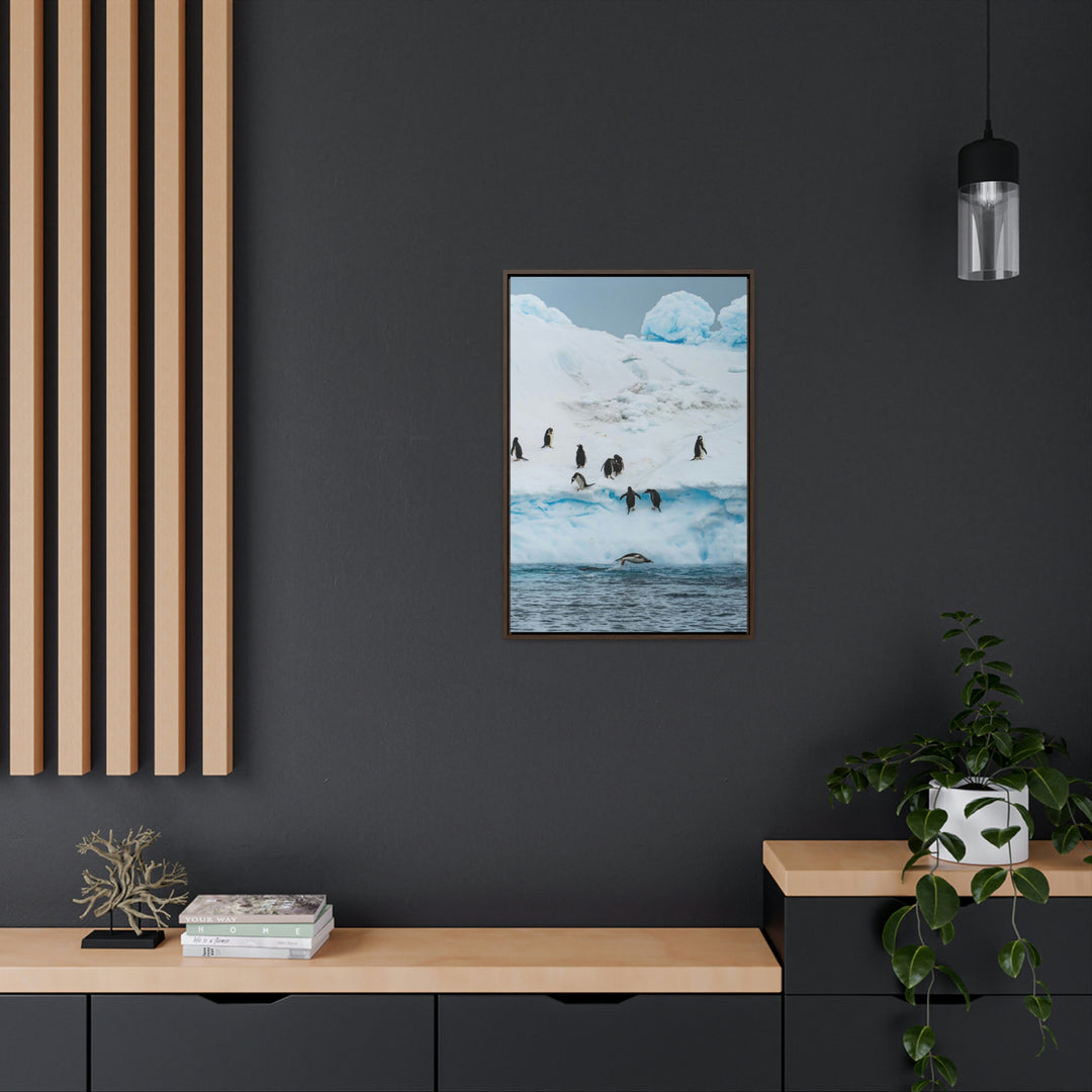 Porpoising Penguin - Canvas with Frame