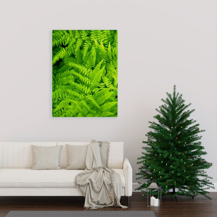 Ferns, Ferns, Ferns - Canvas