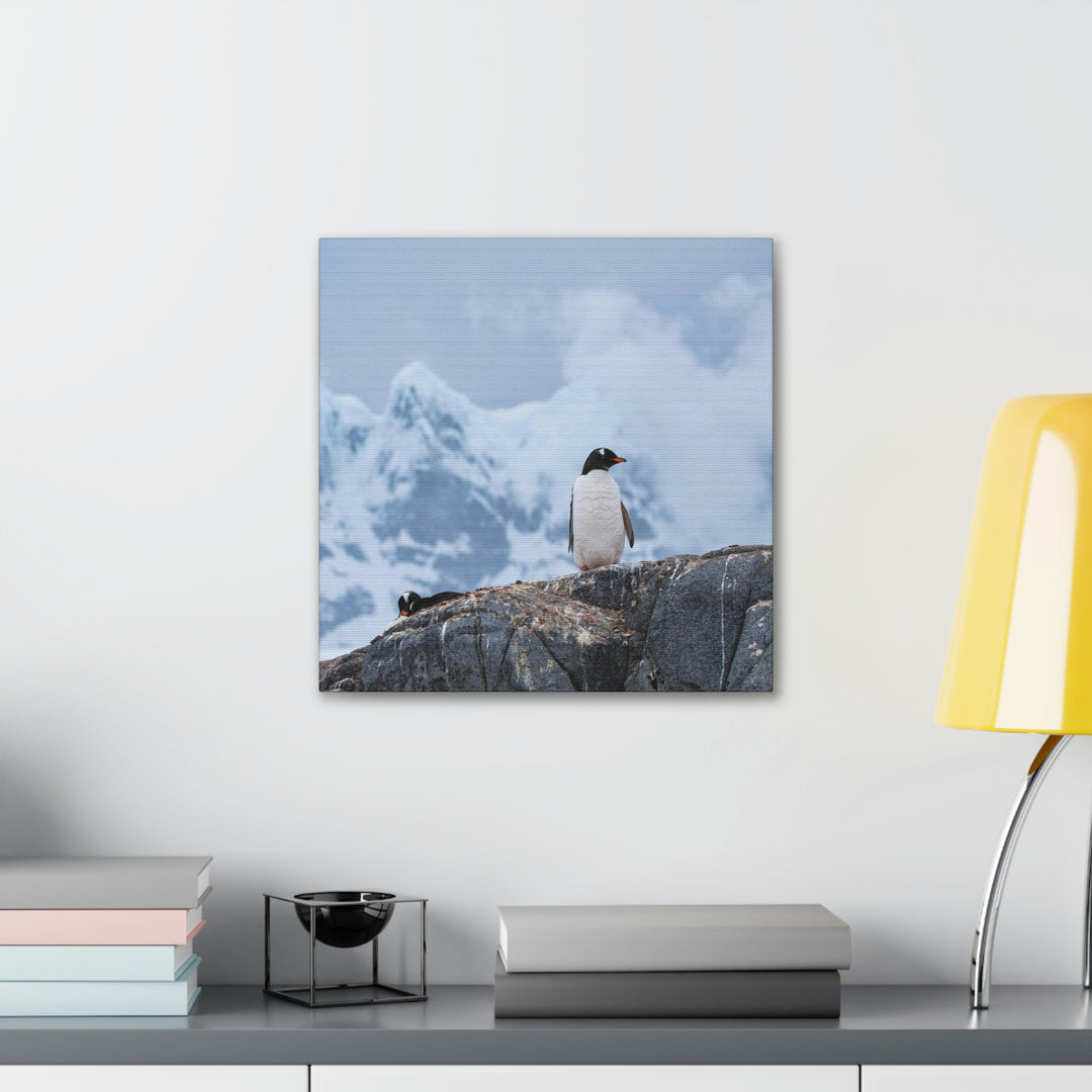 Poised Penguin - Canvas