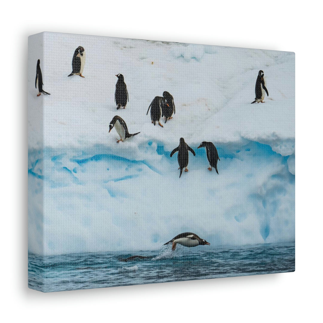 Porpoising Penguin - Canvas