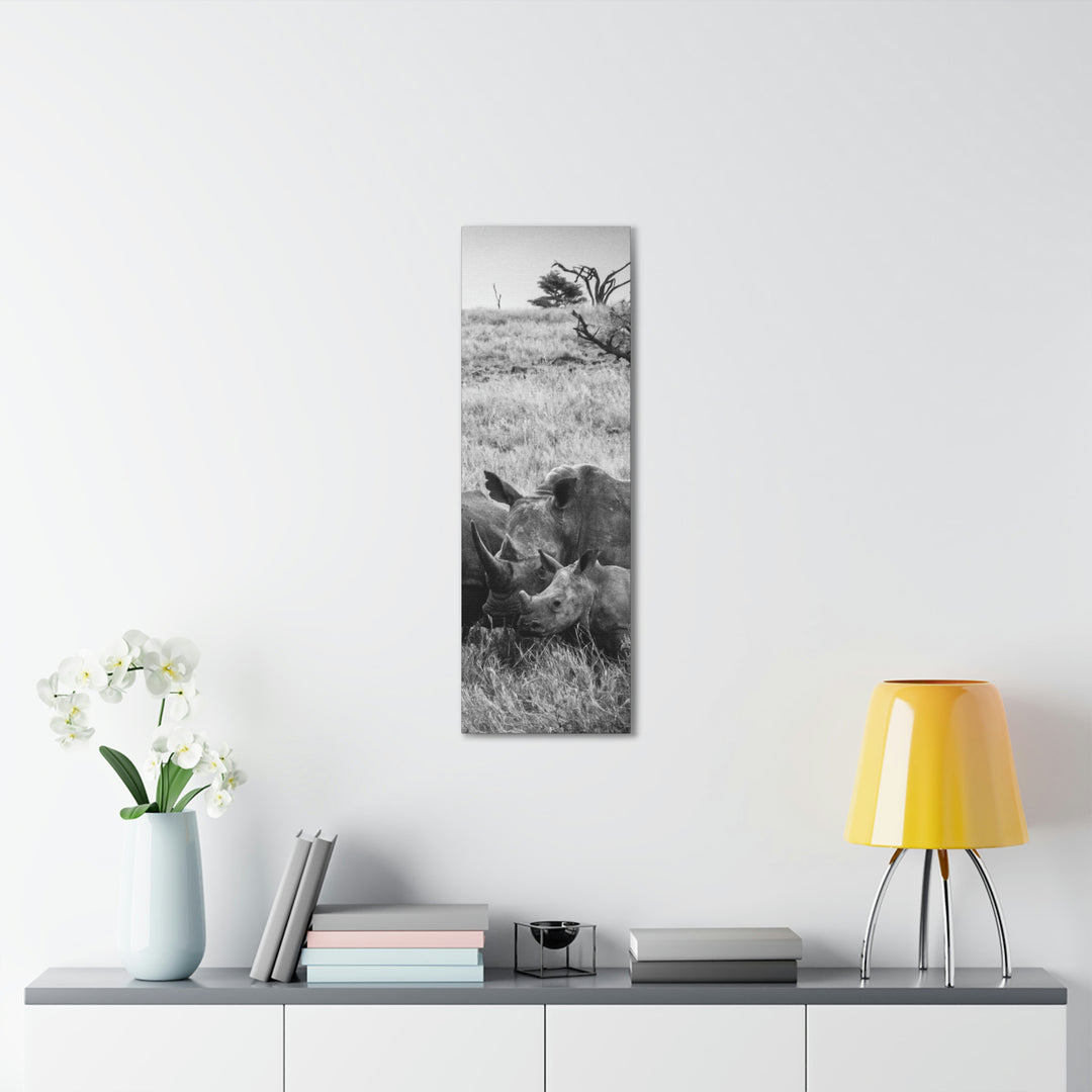 Rhino Family in Black and White - Canvas