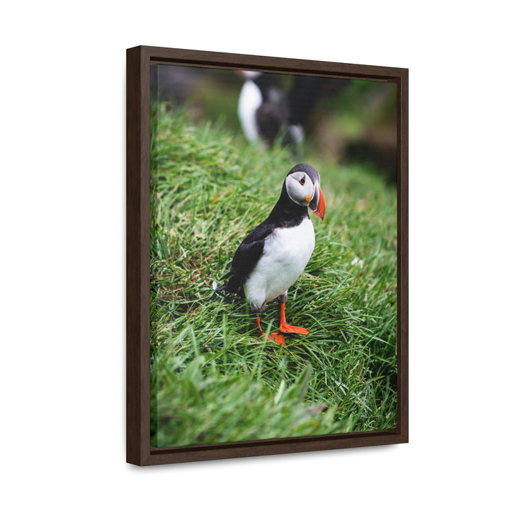 Curious Eye - Canvas with Frame