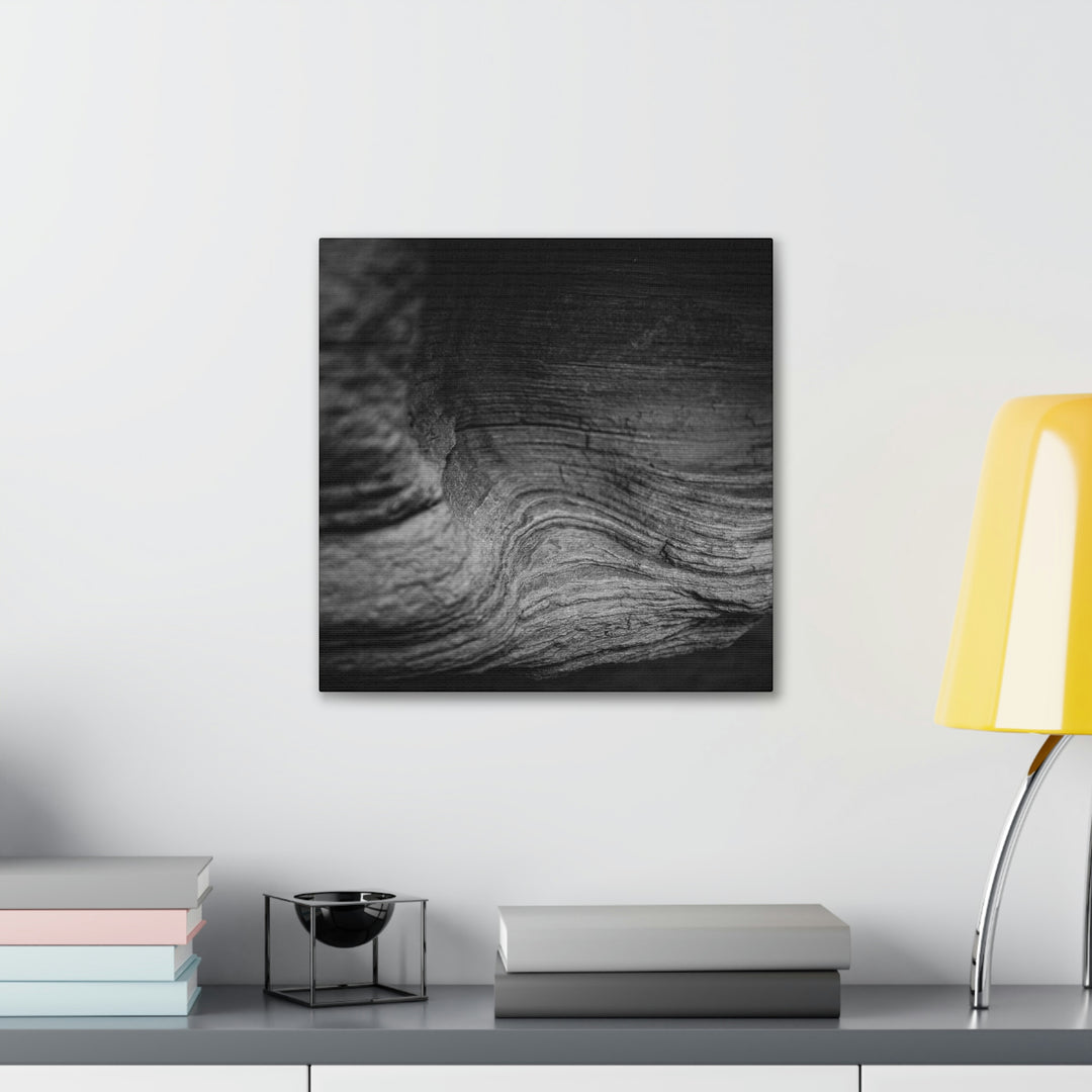 Sedimentary Rock Curves in Black and White - Canvas