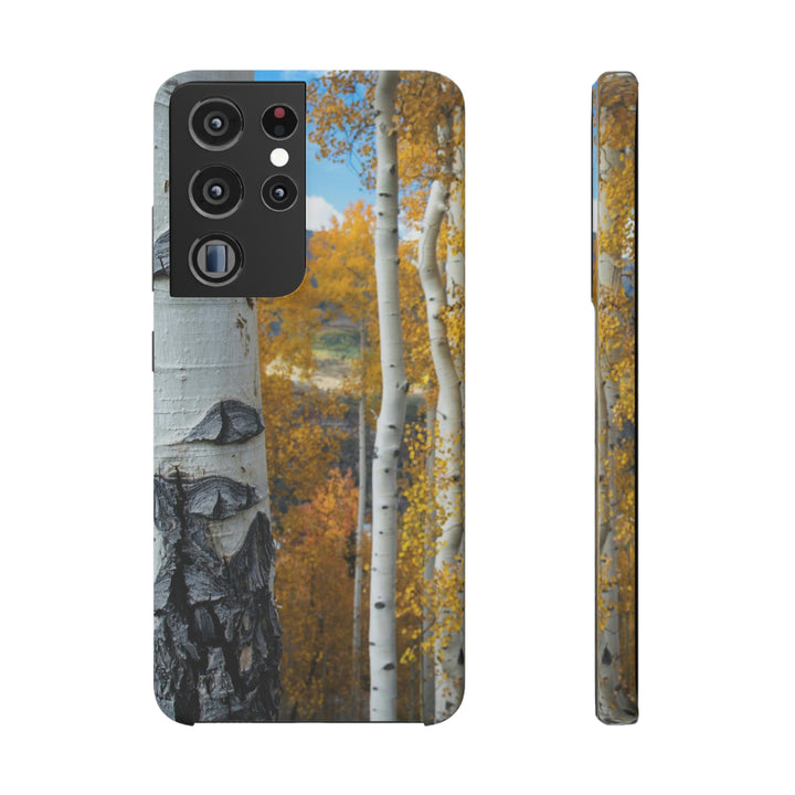 Aspens Changing - Phone Case