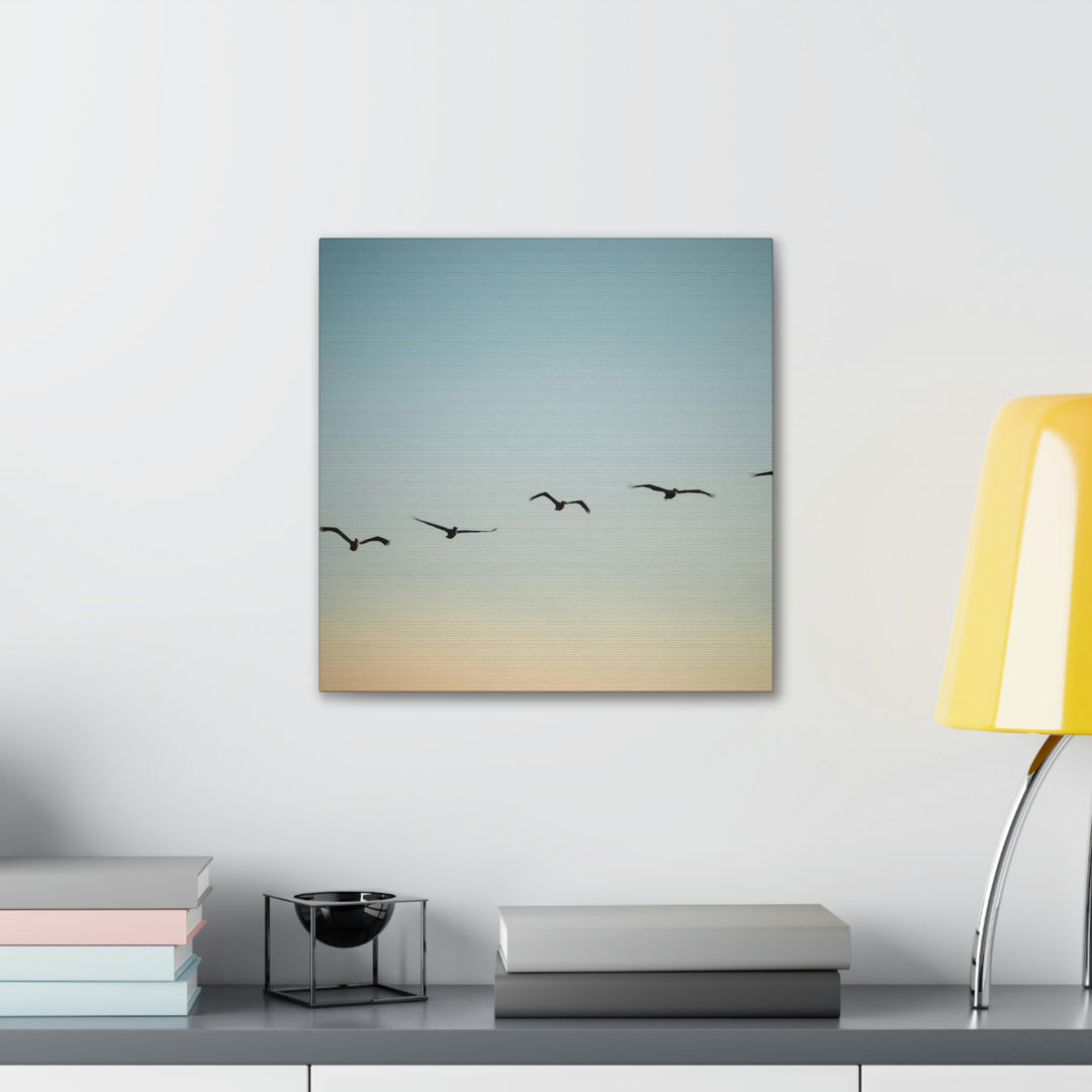 Brown Pelicans in Flight - Canvas