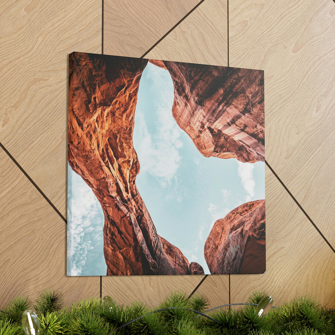 Natural Frames Part 3 - Canvas