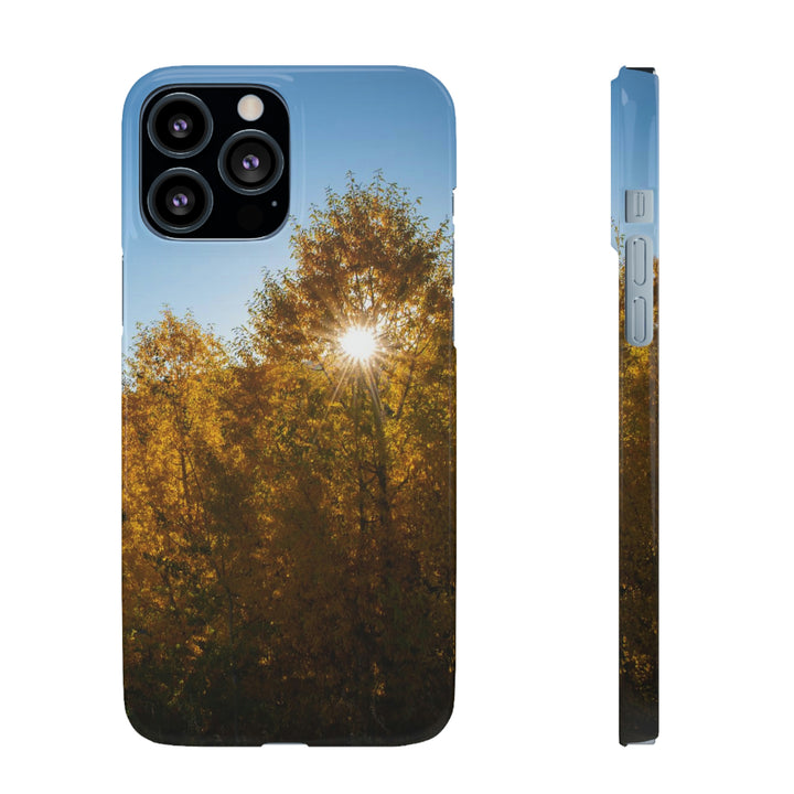 Sun Through the Aspens - Phone Case