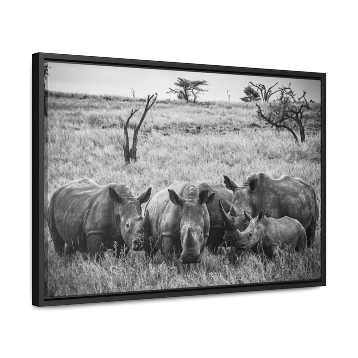 Rhino Family in Black and White - Canvas with Frame