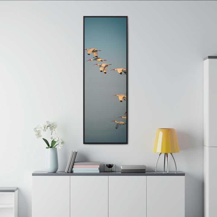 White Ibis in Flight - Canvas with Frame