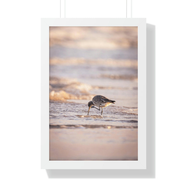 Willet Itch - Framed Print