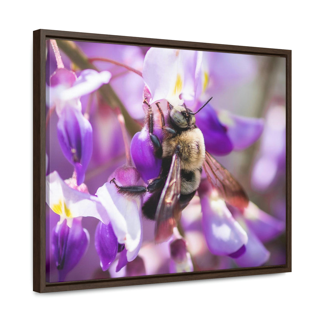 Hungry Visitor - Canvas with Frame