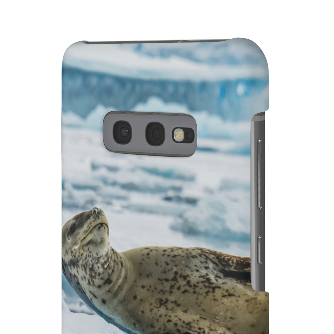 Leopard Seal Relaxing - Phone Case