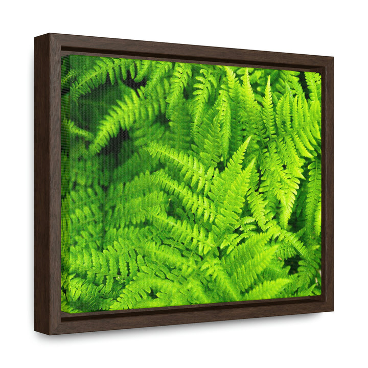 Ferns, Ferns, Ferns - Canvas with Frame