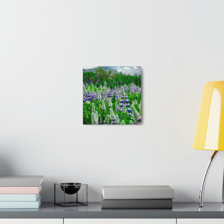 Glowing Lupin with Mountains - Canvas