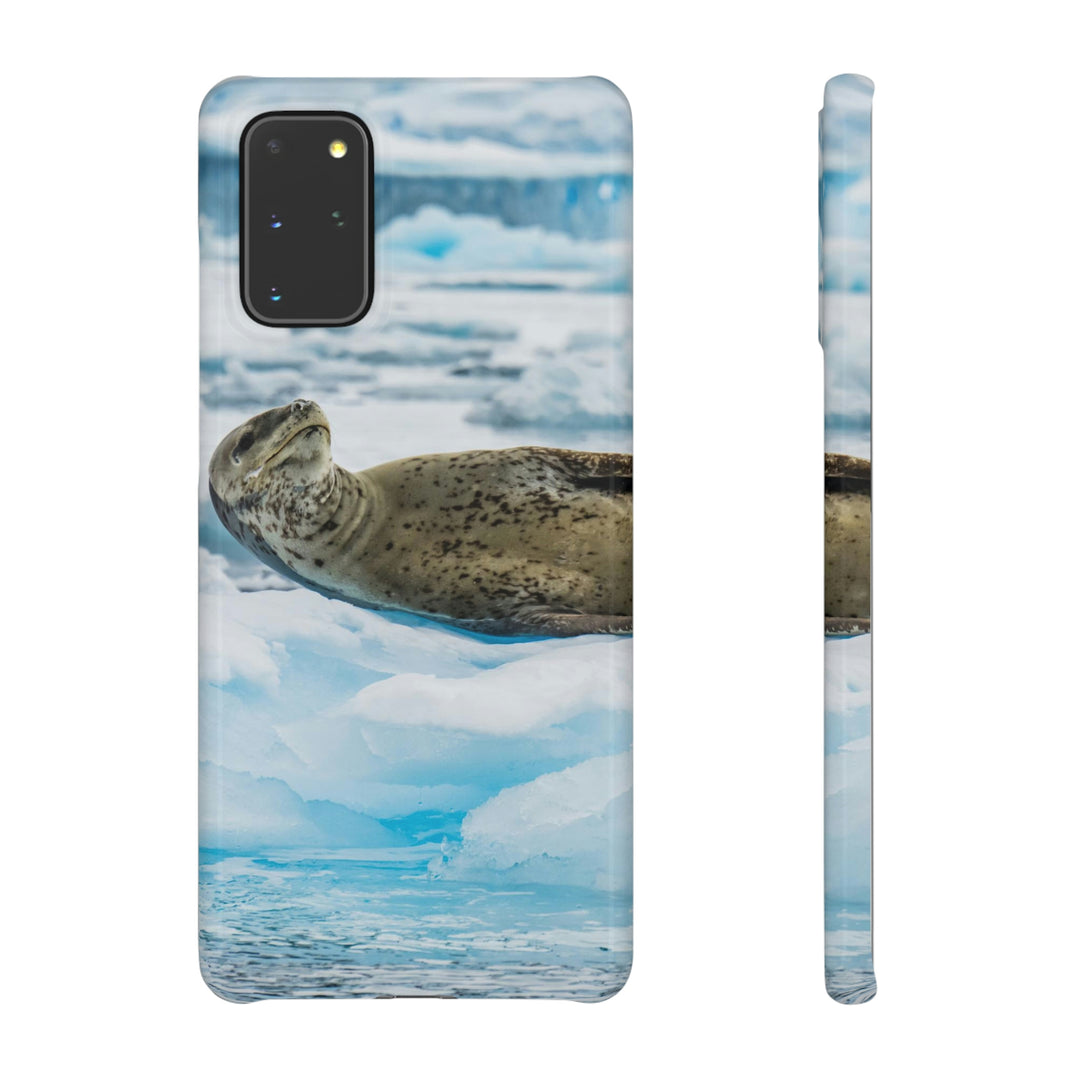 Leopard Seal Relaxing - Phone Case